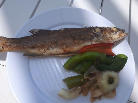 Fish on the plate